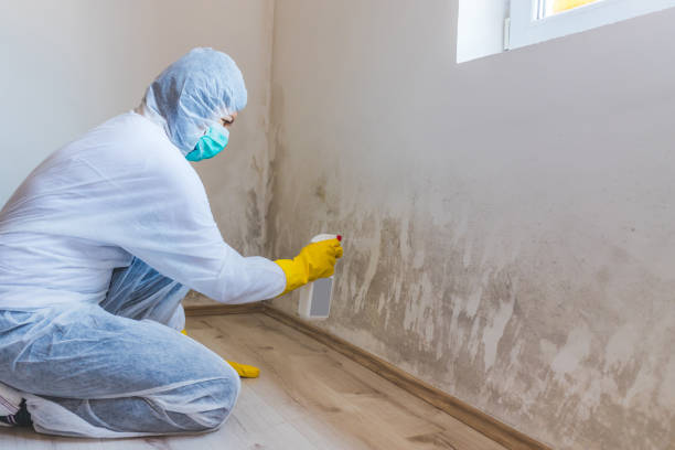 Hvac And Air Duct Mold Remediation inspection of HVAC system in Marietta